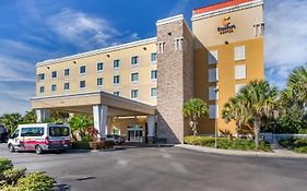 Comfort Inn Suites Tampa Fairgrounds